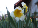 DSCN2269