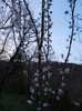 DSCN2273