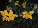 DSCN2279