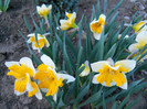 DSCN2280