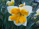 DSCN2281