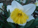 DSCN2282