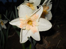 DSCN2285