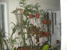 DSCN2856