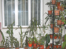 DSCN2667