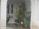 DSCN2807