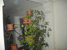 DSCN2850