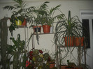 DSCN2851