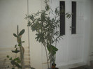 DSCN2852