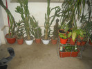 DSCN2854