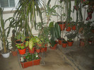 DSCN2855