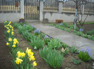 DSCN2778