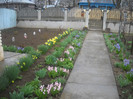 DSCN2796