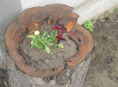 DSCN2798