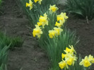 DSCN2802