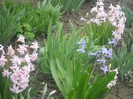 DSCN2819