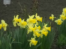 DSCN2820