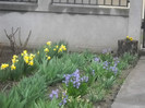 DSCN2827