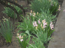 DSCN2832