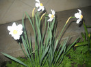 DSCN2847