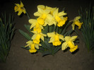 DSCN2849