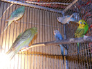 DSCF3048