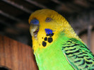 DSCF3074
