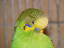 DSCF3139