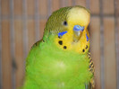 DSCF3150