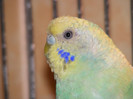 DSCF3163