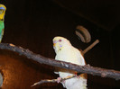 DSCF3187