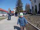 DSCN0499