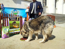 20120407_111453