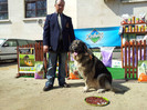 20120407_111631