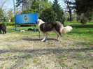20120407_115255
