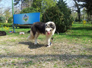 20120407_115305