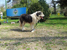20120407_115311