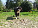 20120407_115703
