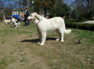 20120407_115719