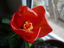 P1120409