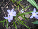 P1120454