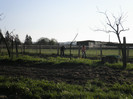 P3300145