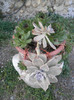 P3300166
