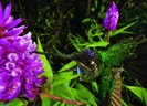 11MM7607_080712_20060r3-480x348