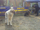 20120407_094052