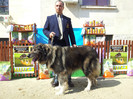 20120407_111210