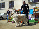 20120407_111324