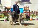 20120407_111547