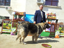 20120407_111555