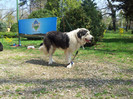 20120407_115301